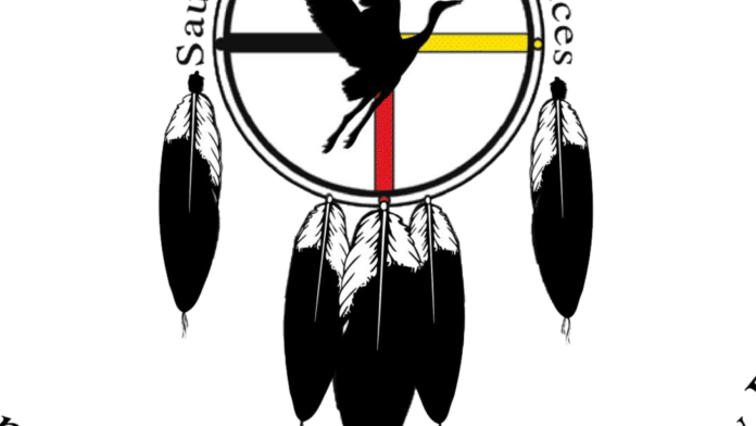 Sault Tribe Behavioral Health Program