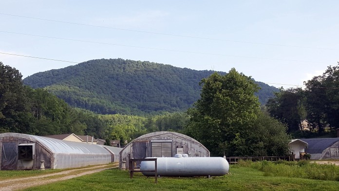 First Step Farm - Women's Facility NC 28715