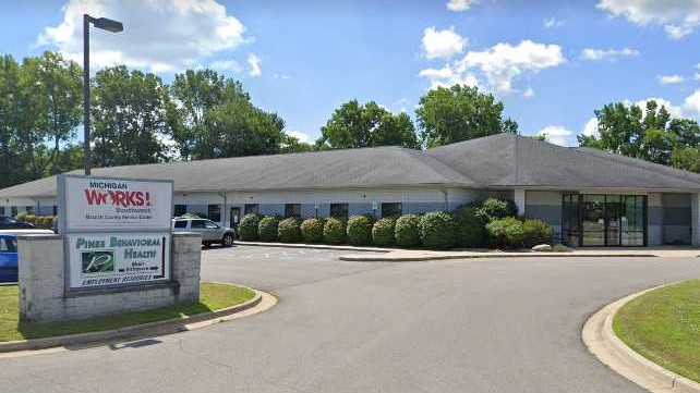 Pines Behavioral Health Services MI 49036