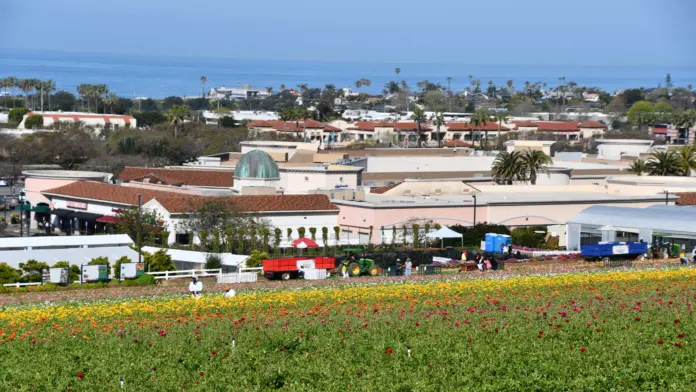 Carlsbad California Drug Alcohol Rehab