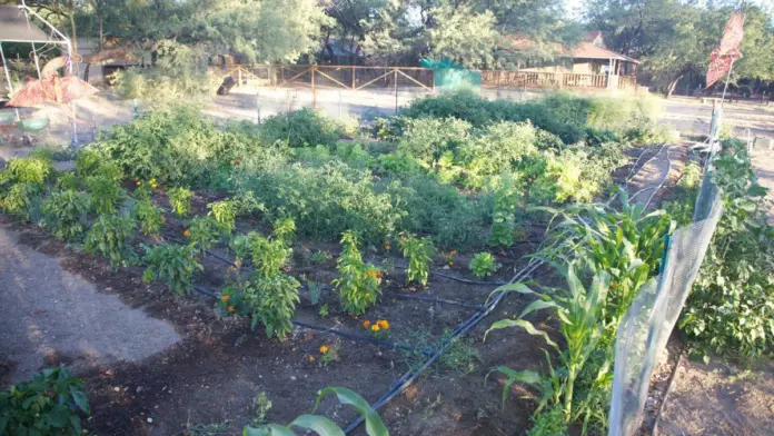 The facilities at Amity Foundation at Circle Tree Ranch in Tucson, AZ 2