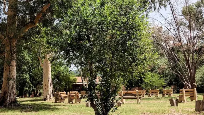 The facilities at Amity Foundation at Circle Tree Ranch in Tucson, AZ 1