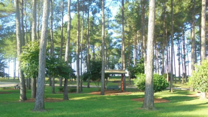 The facilities at Bridges of Hope in Chauncey, GA 1