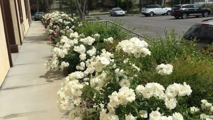 The facilities at Cornerstone Counseling Center in Simi Valley, CA 1