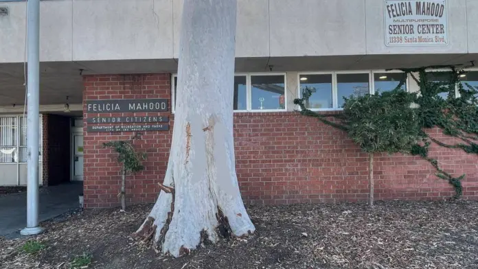 The facilities at Jewish Family Service - Felicia Mahood Multipurpose Center in Los Angeles, CA 1