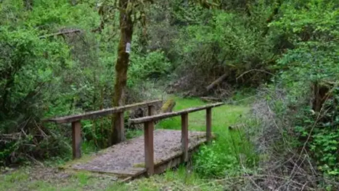 The facilities at Pacific Ridge in Jefferson, OR 4