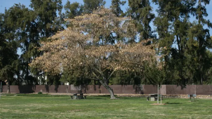 The facilities at Stanislaus County Behavioral Health - Recovery Center in Ceres, CA 2